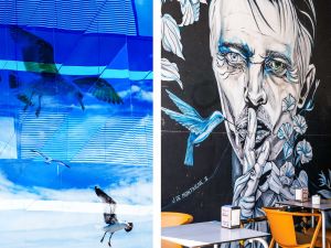 UH blaue Vogel
